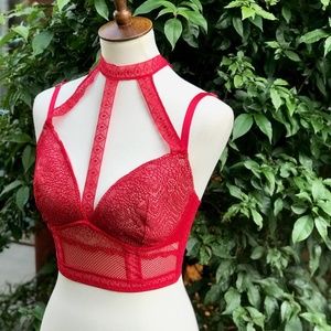Victoria's Secret Intimates & Sleepwear - NWT VS Red HOT! High Neck Mesh Bustier Victoria's Secret Intimates & Sleepwear - NWT VS Red HOT! High Neck Mesh Bustier